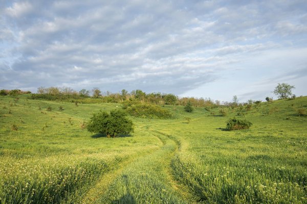 Quelles activités gratuites ne pas manquer lors de vos voyages ?