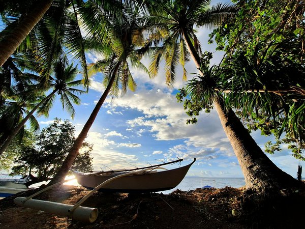 Location villa en guadeloupe : votre séjour de rêve vous attend