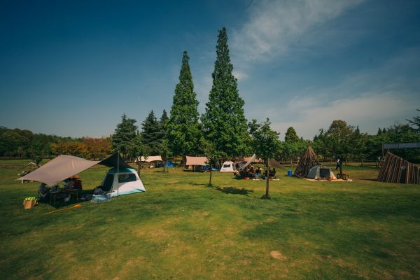 Top prestataires et idées pour optimiser les espaces communs d'un camping